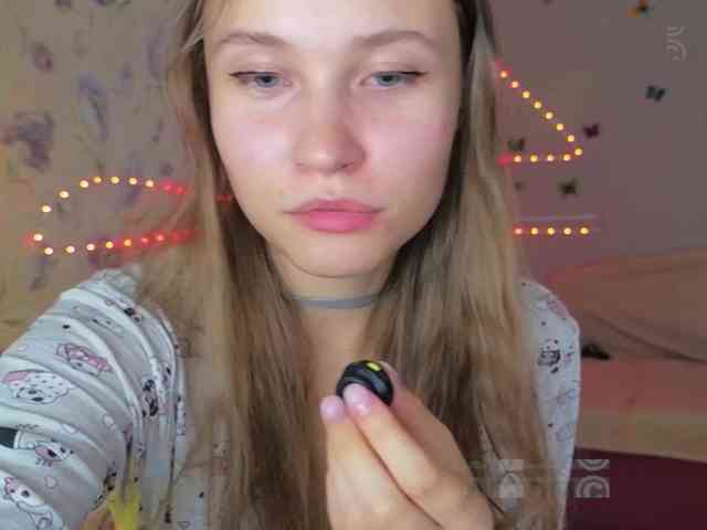 Armura webcam