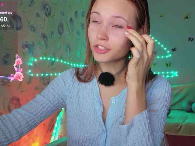 Armura webcam