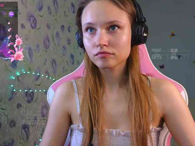 Armura webcam