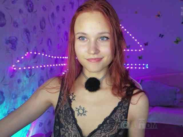 Armura webcam