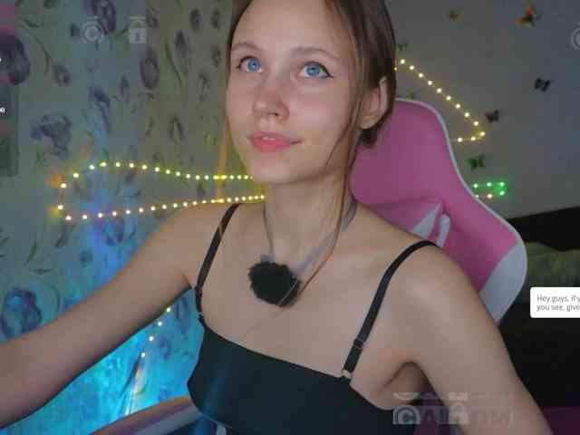 Armura webcam