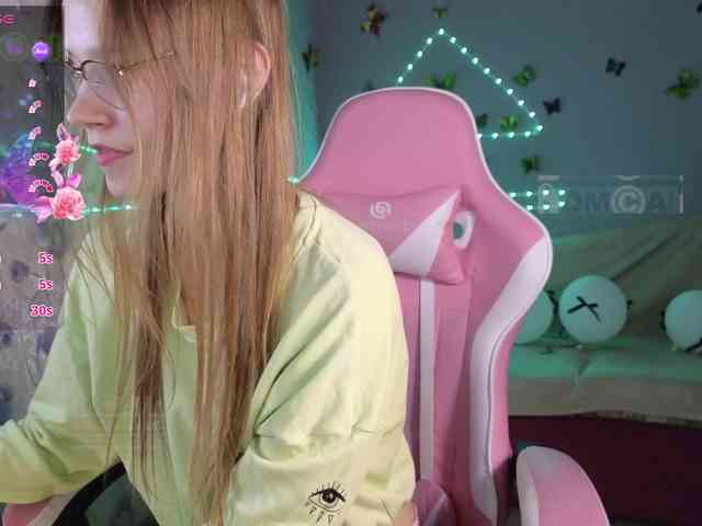 Armura webcam