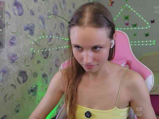 Armura webcam