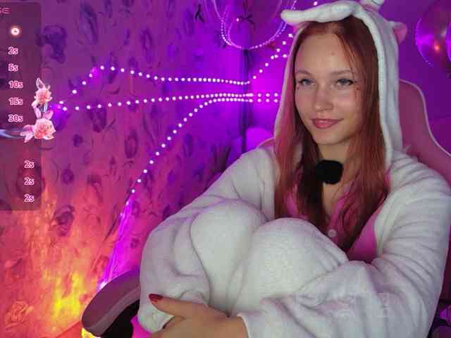 Armura webcam