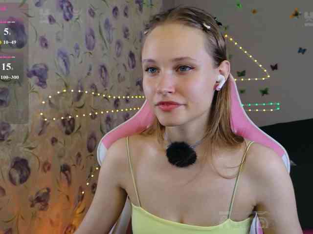 Armura webcam
