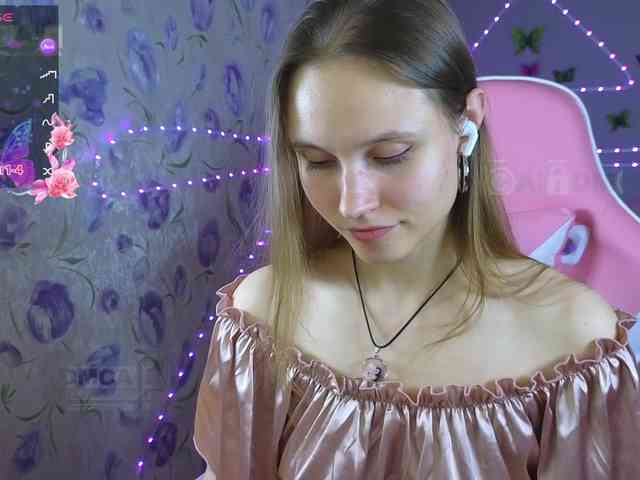 Armura webcam