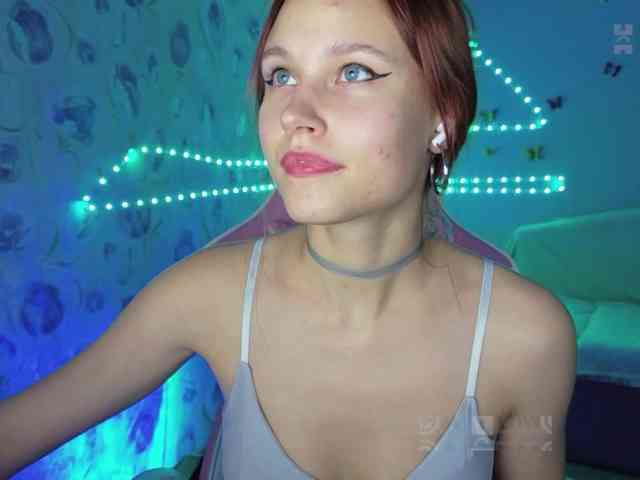 Armura webcam