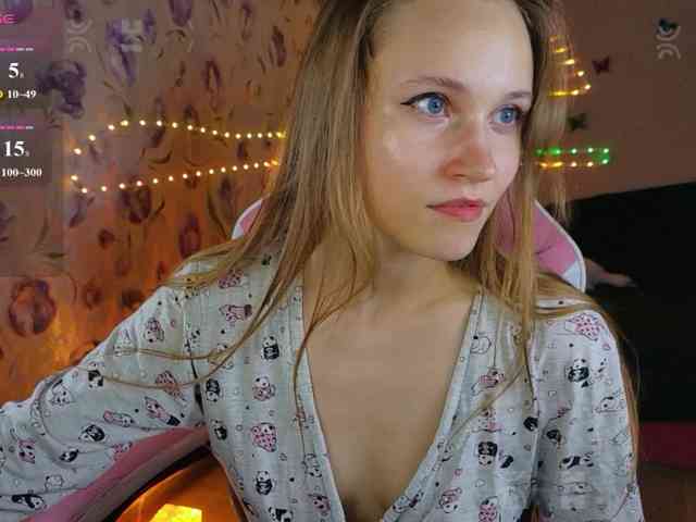 Armura webcam