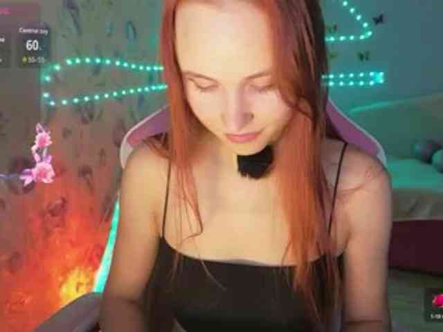 Armura webcam
