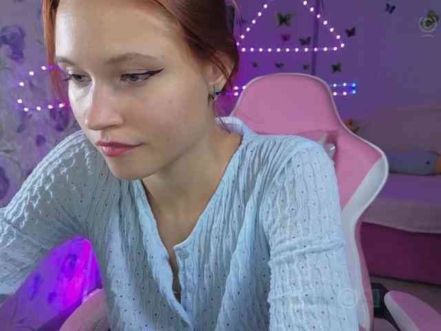 Armura webcam
