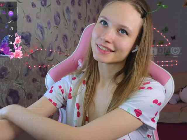 Armura webcam