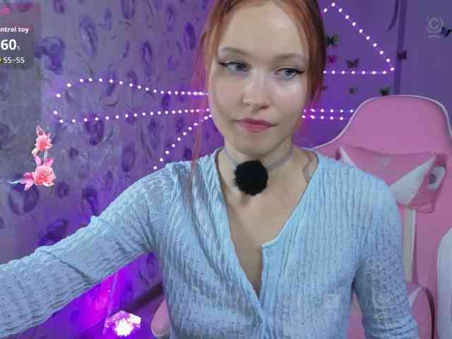 Armura webcam