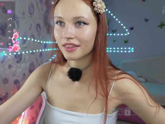 Armura webcam