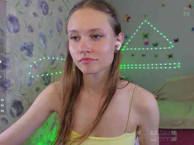 Armura webcam