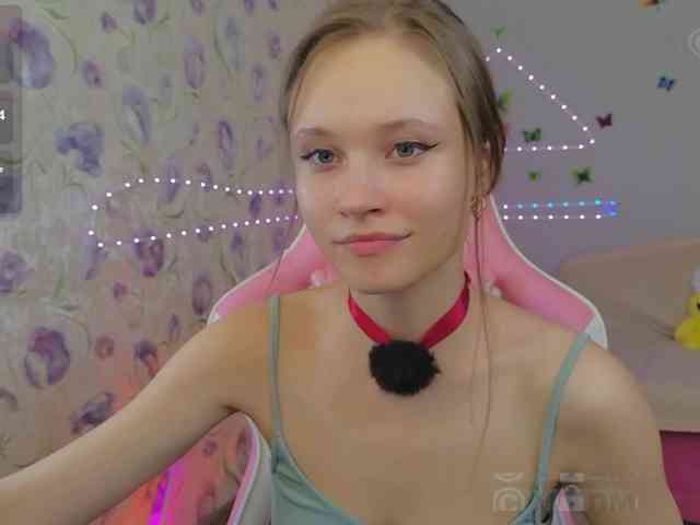 Armura webcam