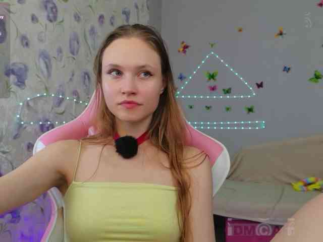 Armura webcam