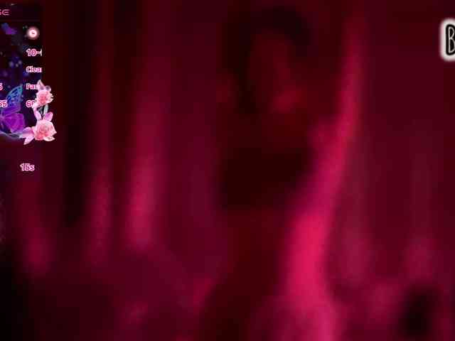 Armura webcam