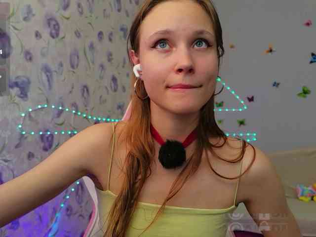 Armura webcam