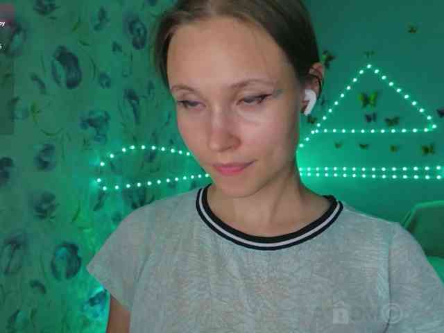 Armura webcam