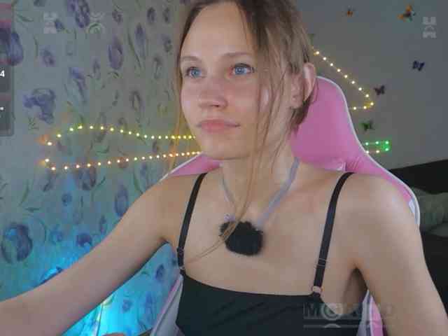Armura webcam