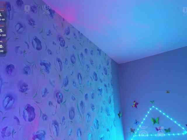 Armura webcam