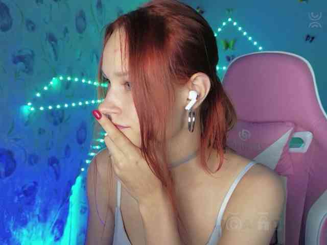 Armura webcam