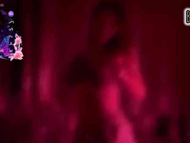 Armura webcam