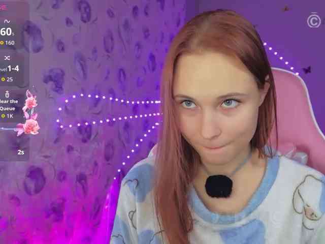 Armura webcam