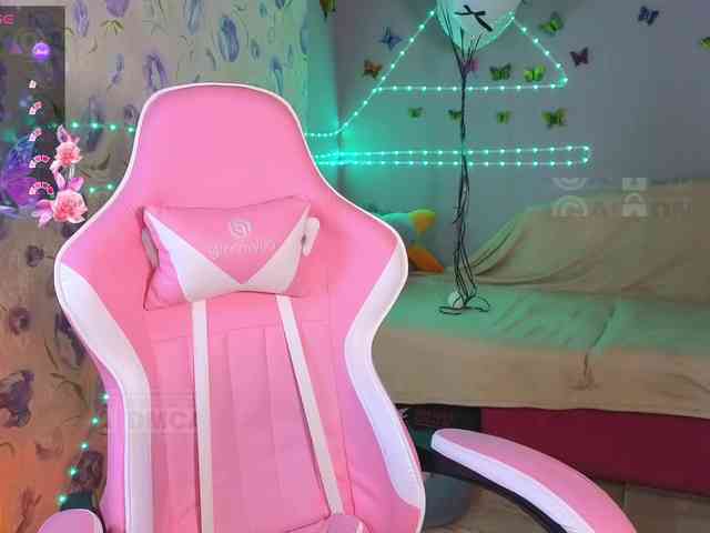 Armura webcam