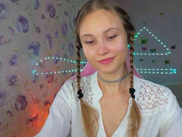 Armura webcam
