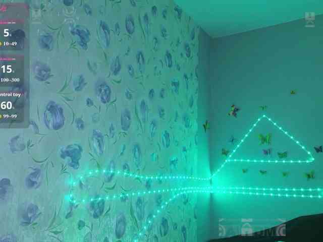 Armura webcam