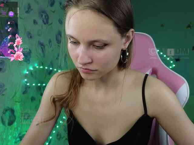 Armura webcam