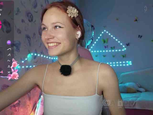 Armura webcam