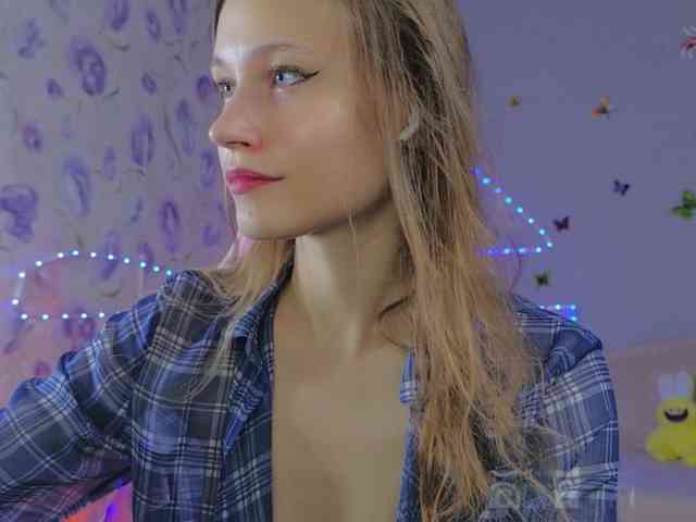 Armura webcam