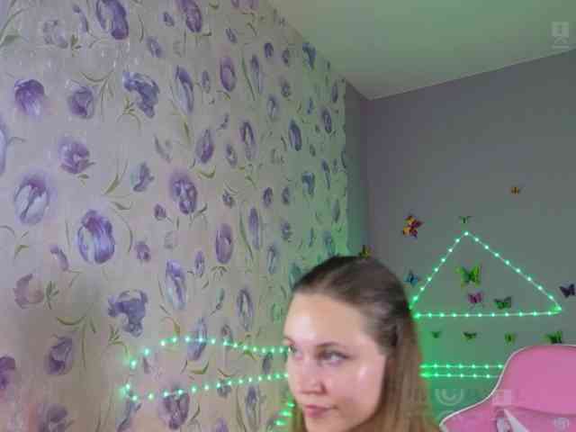 Armura webcam