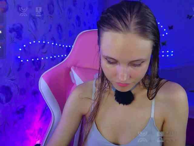 Armura webcam