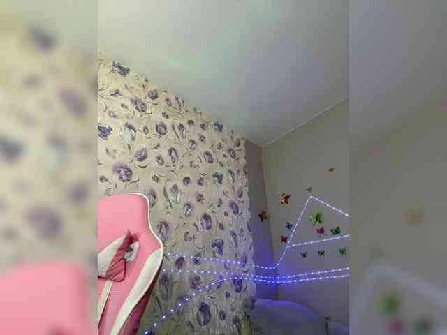 Armura webcam