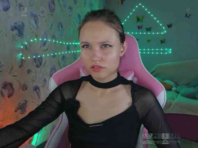 Armura webcam