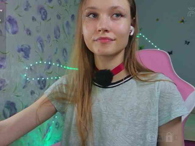 Armura webcam