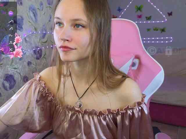 Armura webcam