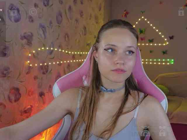 Armura webcam