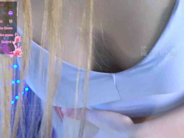 Armura webcam
