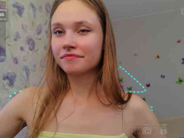 Armura webcam