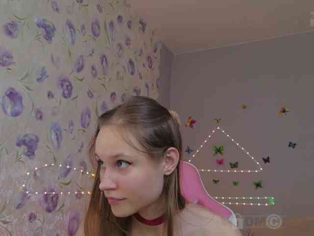 Armura webcam