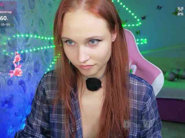 Armura webcam