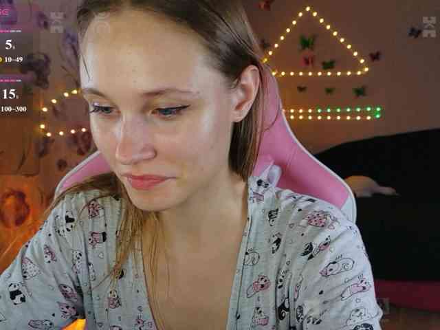 Armura webcam
