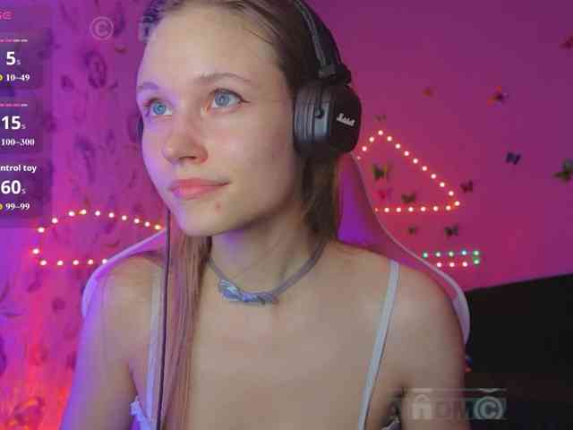 Armura webcam