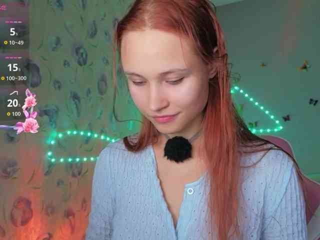 Armura webcam