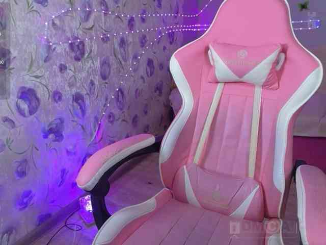 Armura webcam