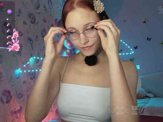 Armura webcam